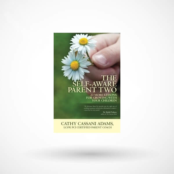 Self-Aware Parent Two: 23 More Lessons for Growing with Your Children